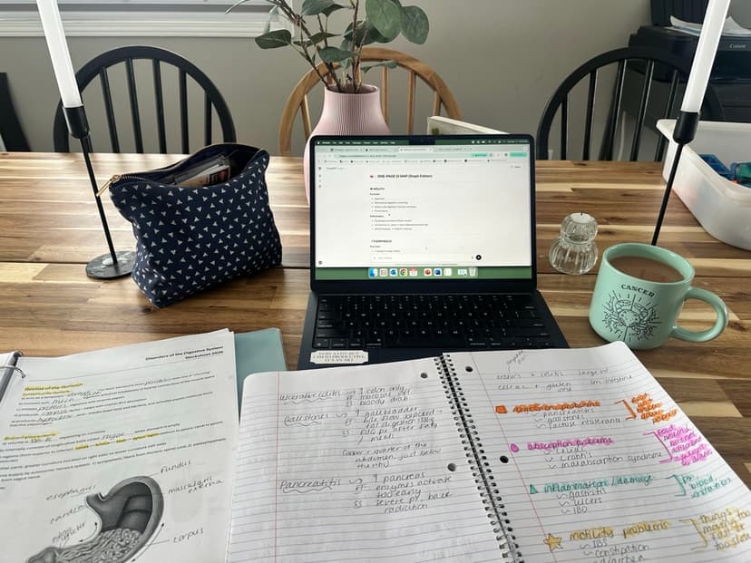 Steph with her study pile